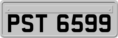 PST6599