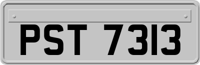 PST7313