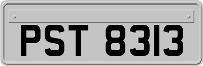 PST8313