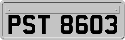 PST8603