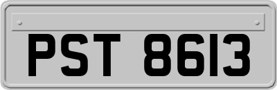 PST8613