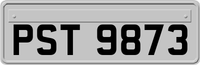 PST9873