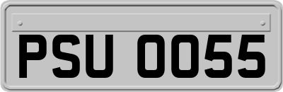 PSU0055