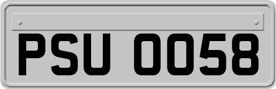 PSU0058