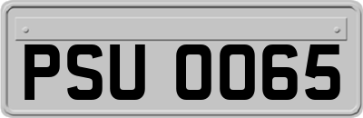 PSU0065