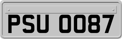 PSU0087