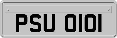 PSU0101