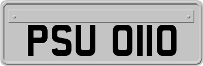 PSU0110