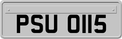 PSU0115