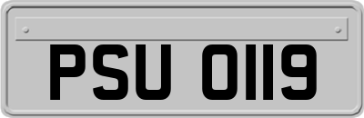PSU0119