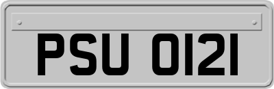 PSU0121