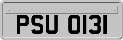 PSU0131