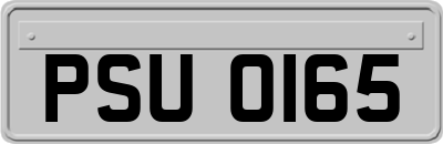 PSU0165
