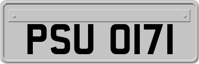 PSU0171