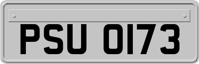 PSU0173
