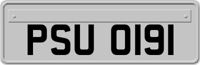 PSU0191