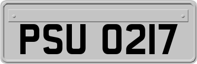 PSU0217
