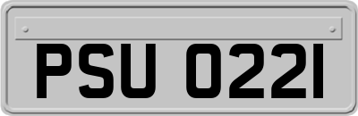 PSU0221