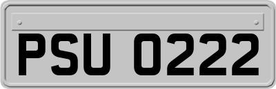 PSU0222