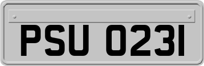PSU0231