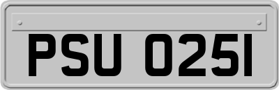 PSU0251