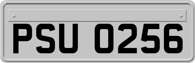 PSU0256