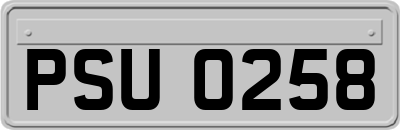 PSU0258