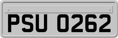 PSU0262