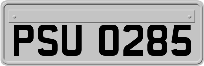 PSU0285