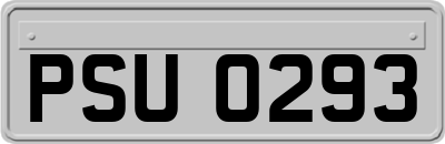 PSU0293