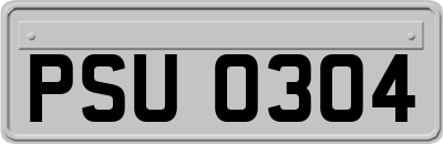 PSU0304