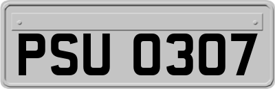 PSU0307