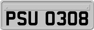 PSU0308