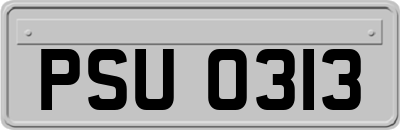 PSU0313