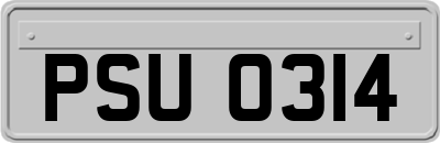 PSU0314