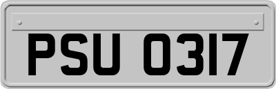 PSU0317