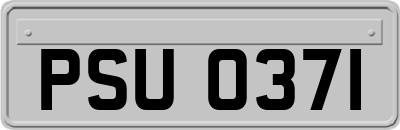 PSU0371