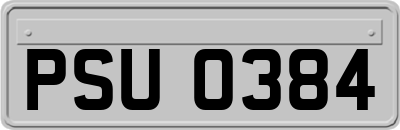 PSU0384