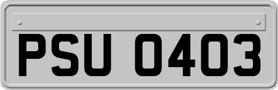 PSU0403