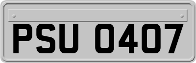 PSU0407