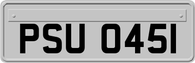 PSU0451