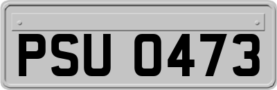 PSU0473