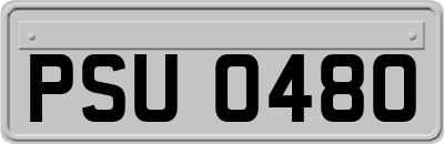PSU0480