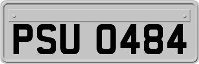 PSU0484