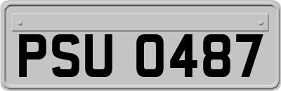 PSU0487