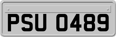 PSU0489