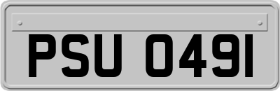 PSU0491