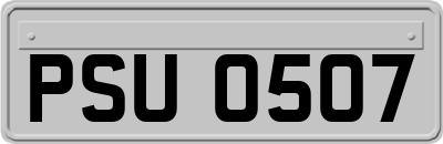 PSU0507