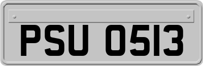 PSU0513