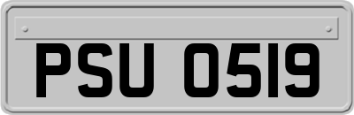 PSU0519